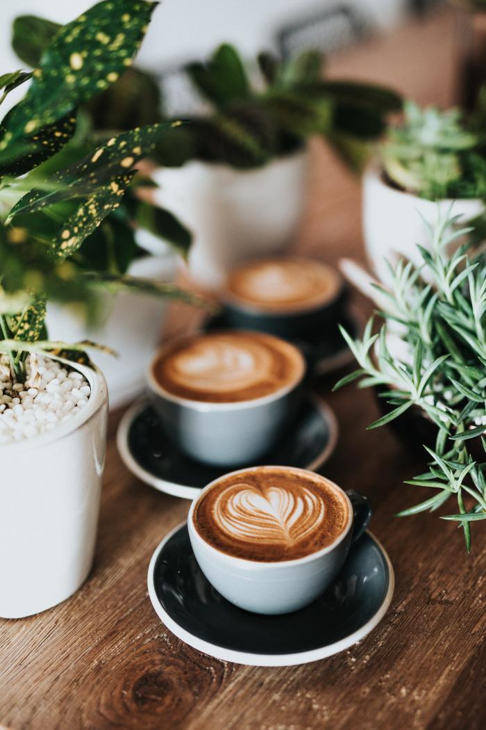 Le Vita Cibo Golden Latte